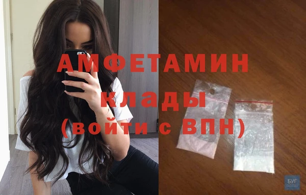 прущие грибы Баксан
