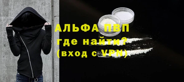 прущие грибы Баксан
