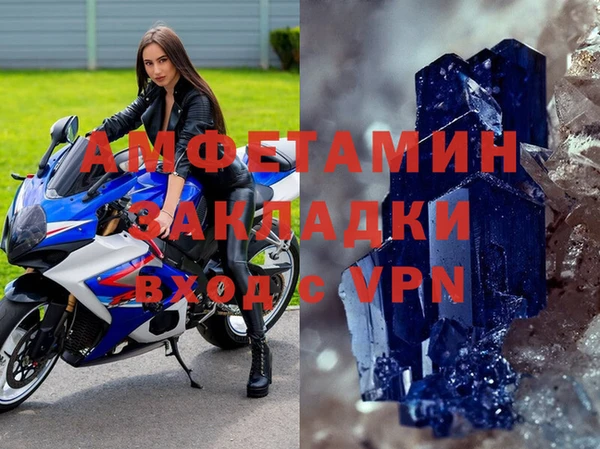прущие грибы Баксан