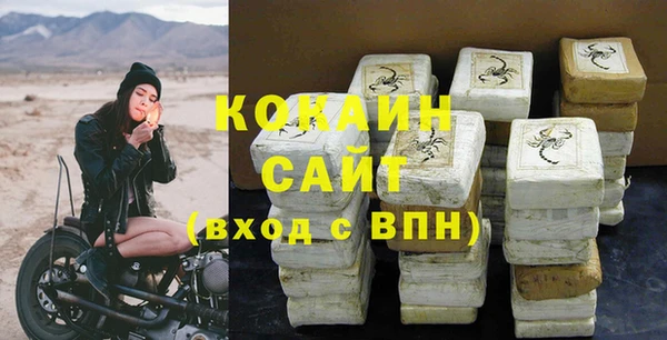 прущие грибы Баксан