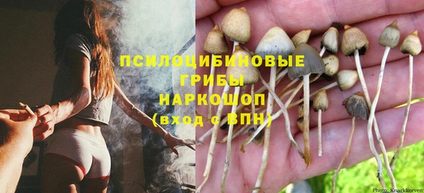 бошки Балахна