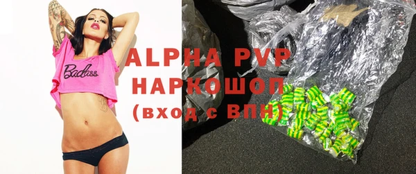 прущие грибы Баксан