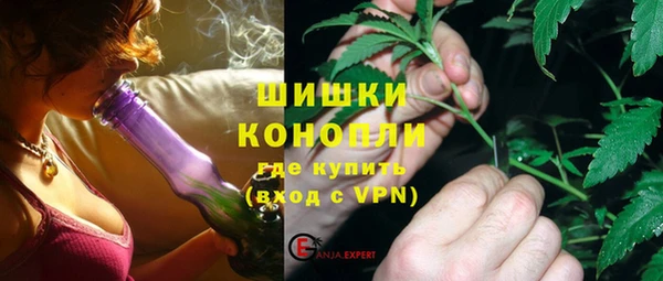 прущие грибы Баксан