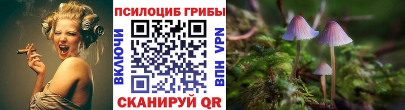 цены   Городовиковск  Псилоцибиновые грибы прущие грибы 