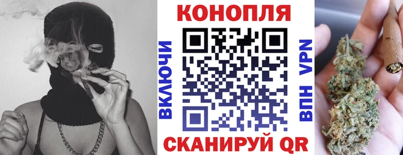 цена наркотик мега зеркало Бошки Шишки сатива Городовиковск